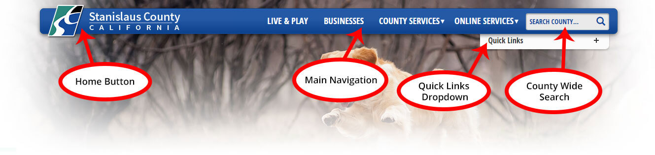 Navigation Example