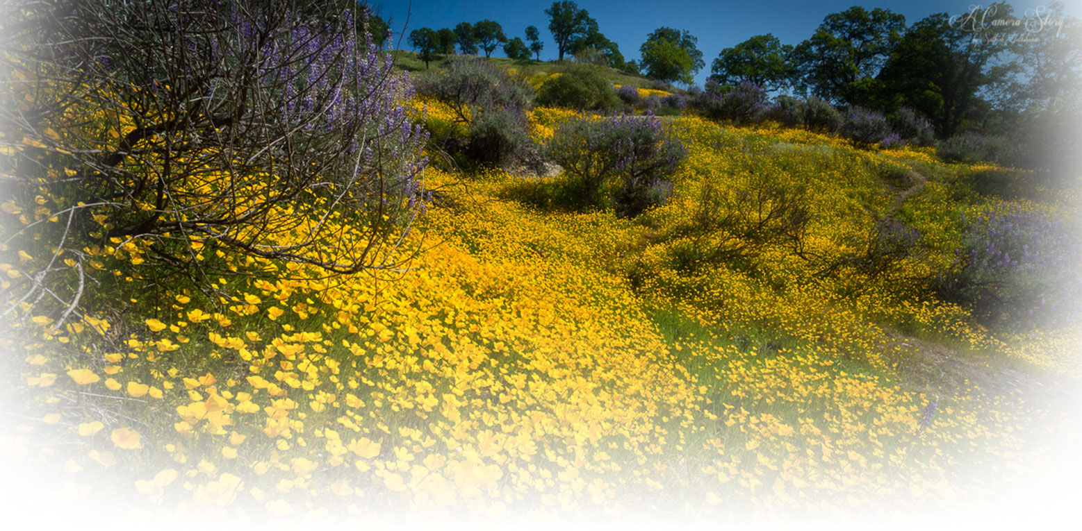 Stanislaus County In The Know