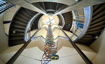 DNA sculpture at Modesto Junior College - Photo by Modesto Junior College