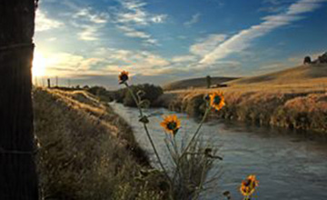 Sunrise in the country - Photo by David Jones