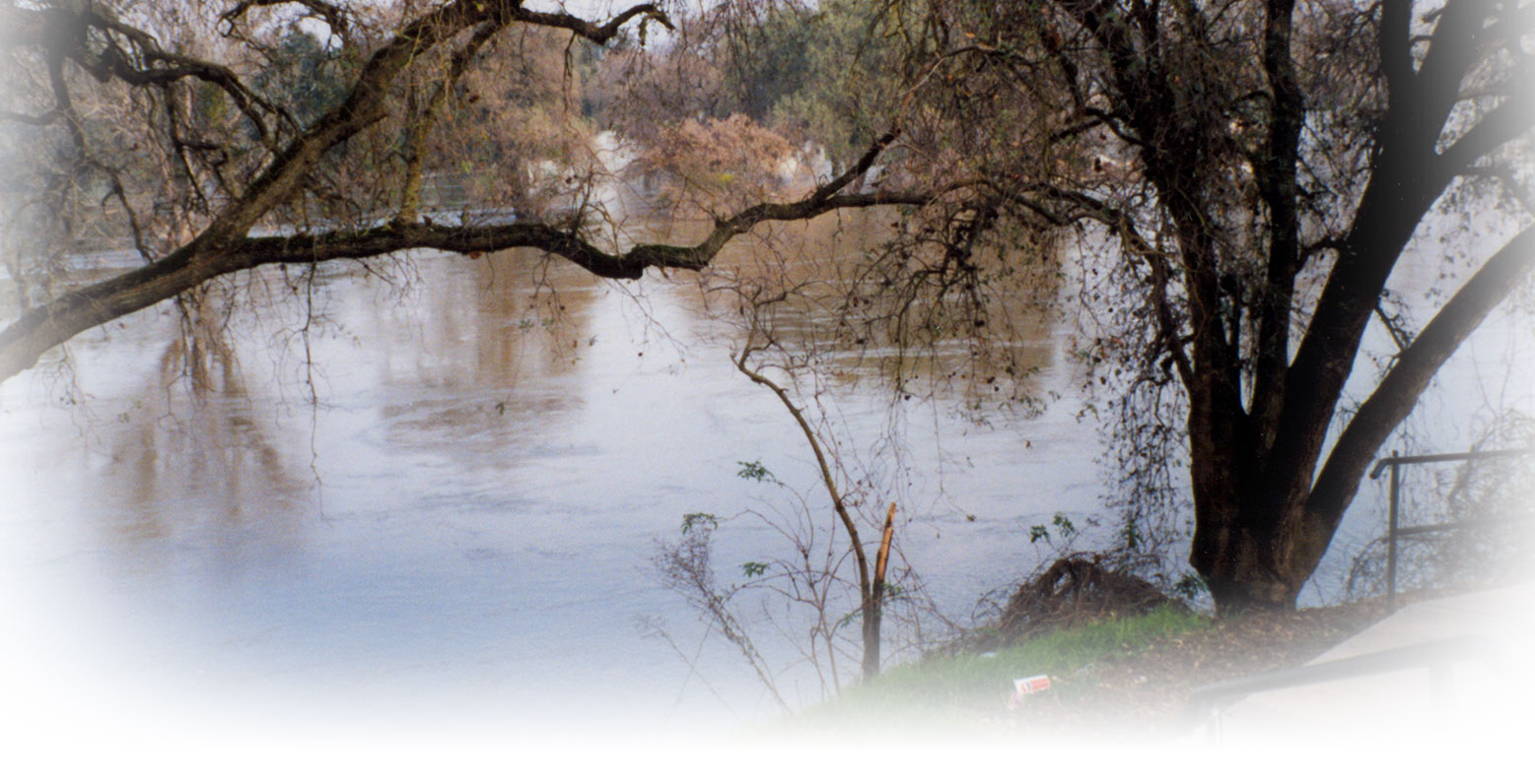 Image of a swollen river.