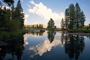 Tuolumne River Trust