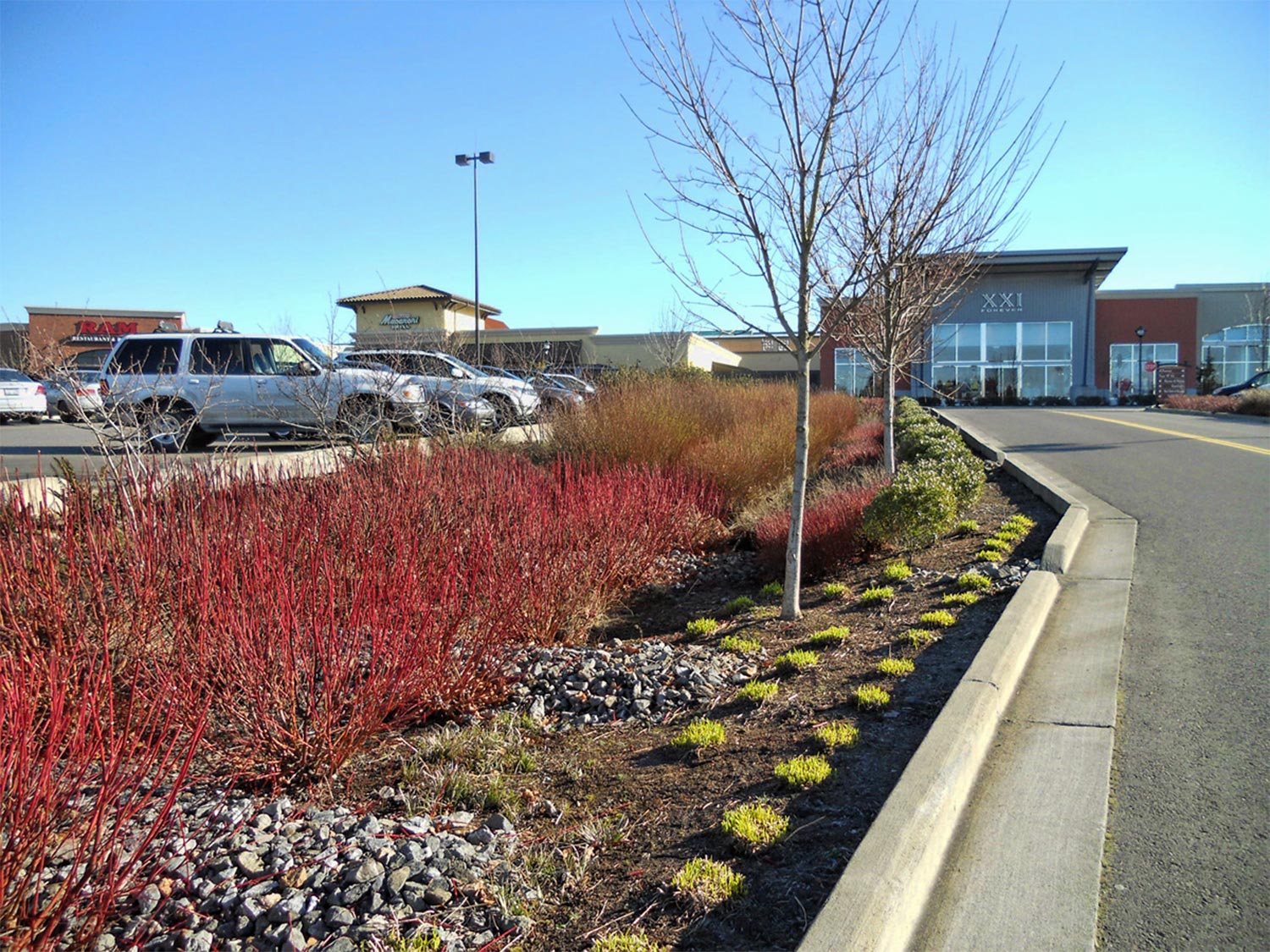 Shopping center parking lot with stormwater capture features