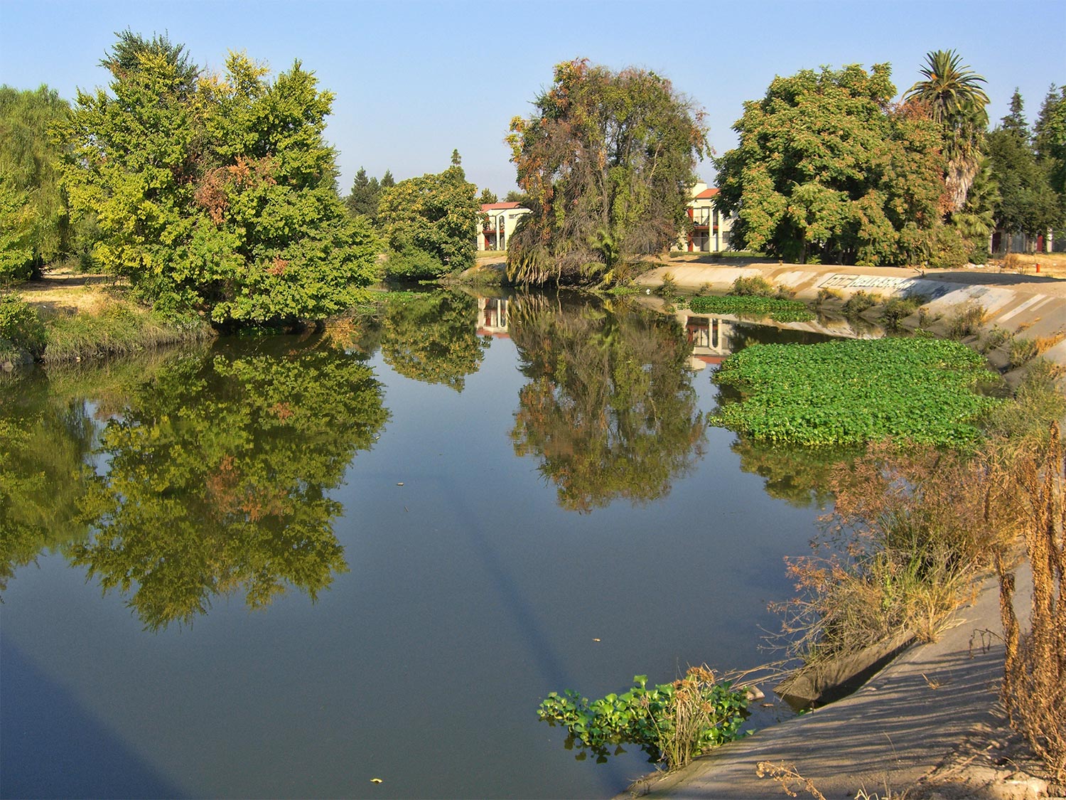 Pond in Stockton, CA
